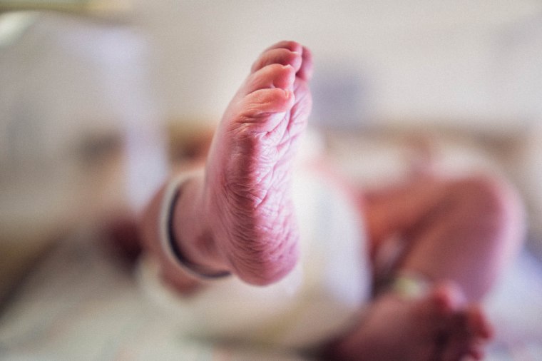 Rathbun_fresh_48_blog_post-4