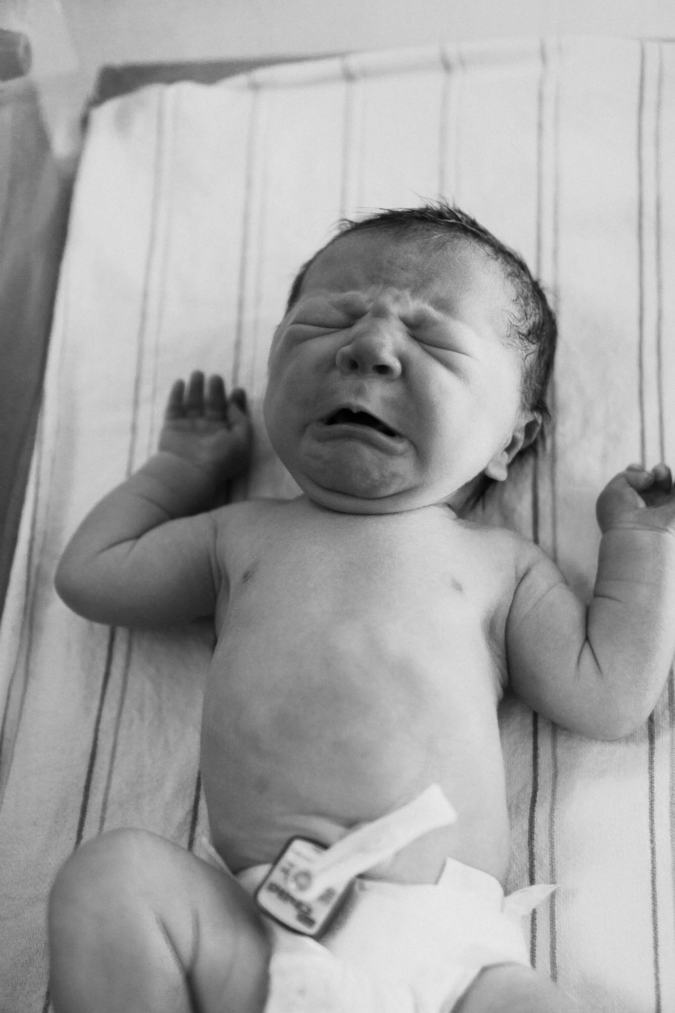 Rathbun_fresh_48_blog_post-5